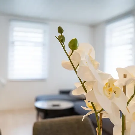 Evin's Apartamento Kehl