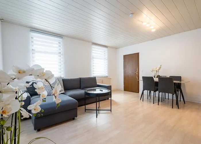 Evin's Appartamento Kehl