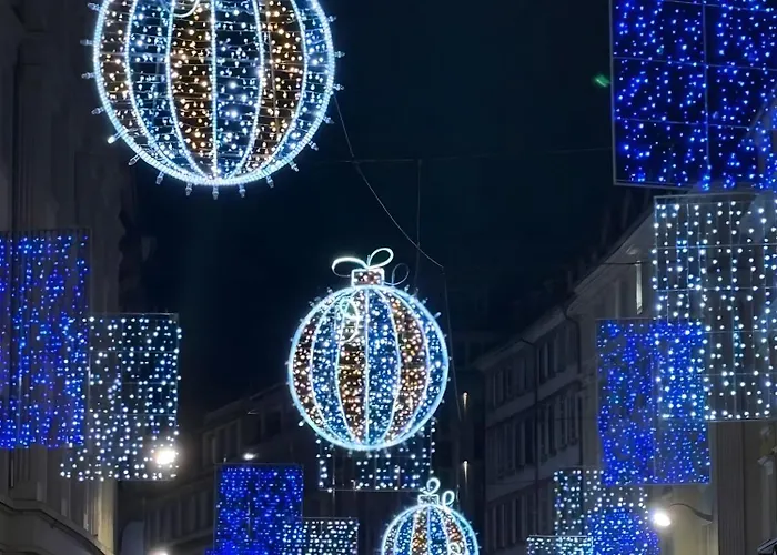 Evin's Appartamento Kehl