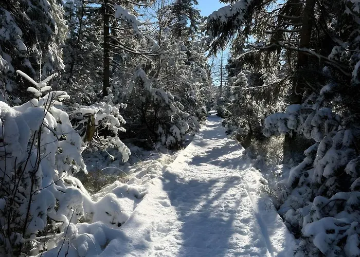 Evin's Appartamento Kehl